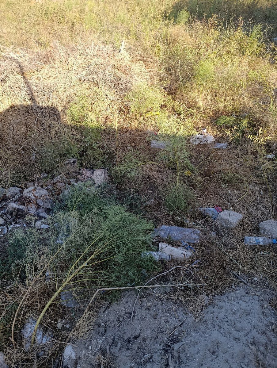 Satılır torpaq 6 sot — Torpaq, Bakı (3)