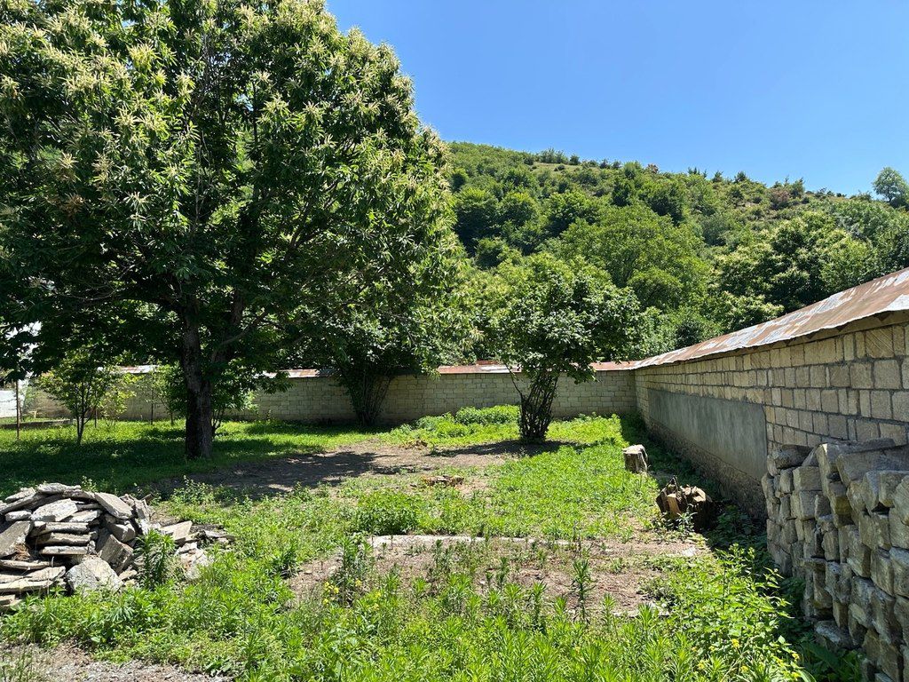 6 sot torpaq sahəsi, Qəbələ ş — Torpaq, Qəbələ (9)