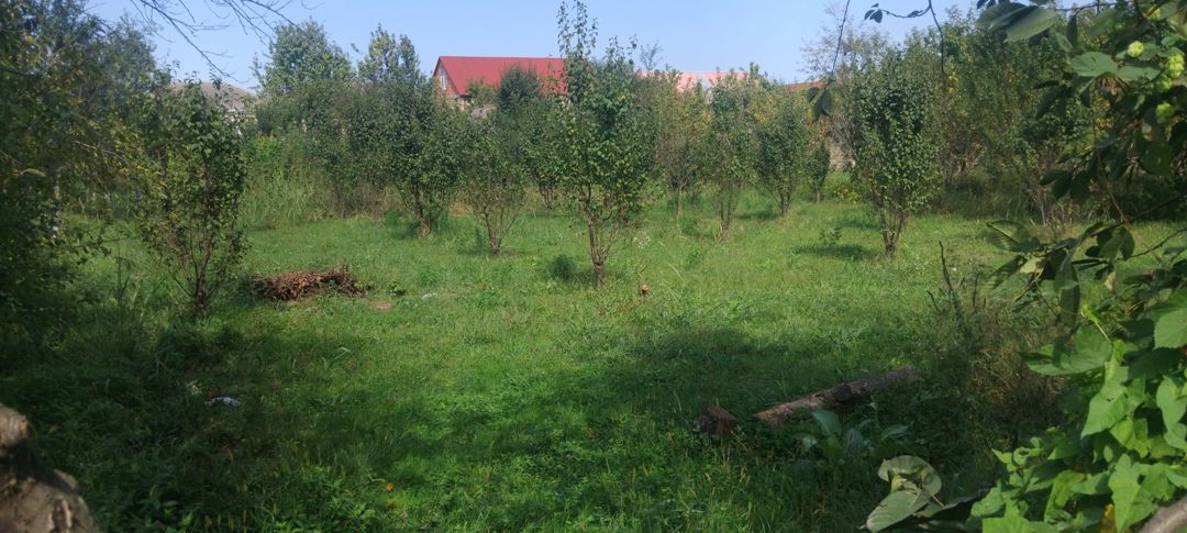 8 sot torpaq sahəsi, 2-ci Nügədi kəndi — Torpaq, Quba (3)