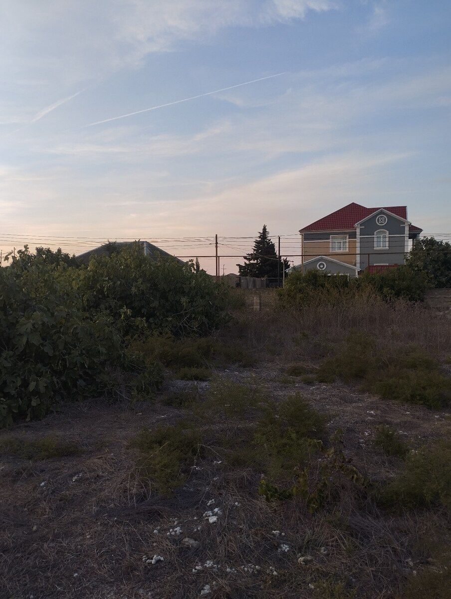 12.5 sot torpaq sahəsi, Albalı qəs — Torpaq, Bakı (3)