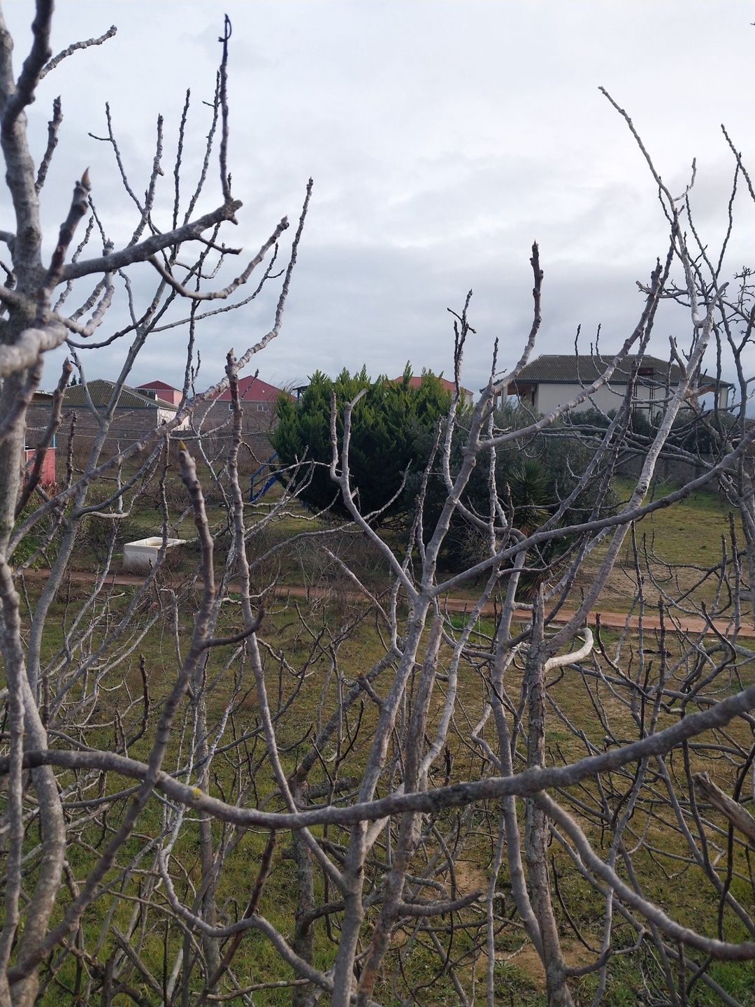 Satılır torpaq 12 sot — Torpaq, Bakı (4)