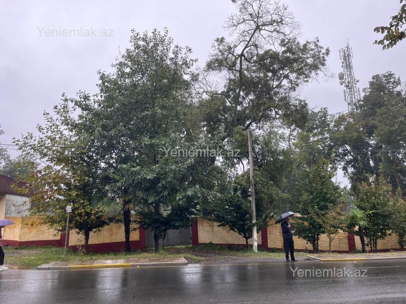 Satılır Torpaq sahəsi, 48.7 sot, Lənkəran — Torpaq, Lənkəran (5)