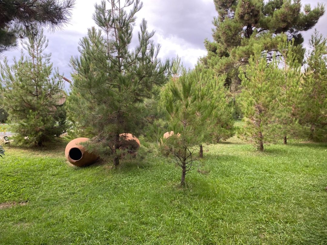 20 sot torpaq sahəsi, Masazır qəs — Torpaq, Bakı