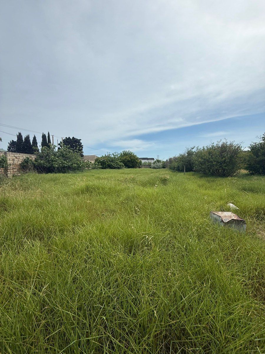 14 sot torpaq sahəsi, Albalı qəs — Torpaq, Bakı (7)