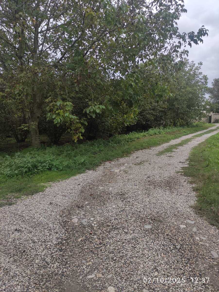 Satılır torpaq 28 sot — Torpaq, Xaçmaz (4)