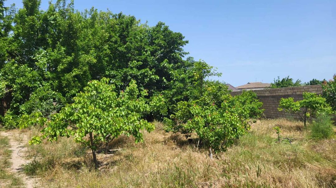 Satılır 5 otaqlı həyət evi/bağ evi 150 m² — Ev, villa, Bakı (10)