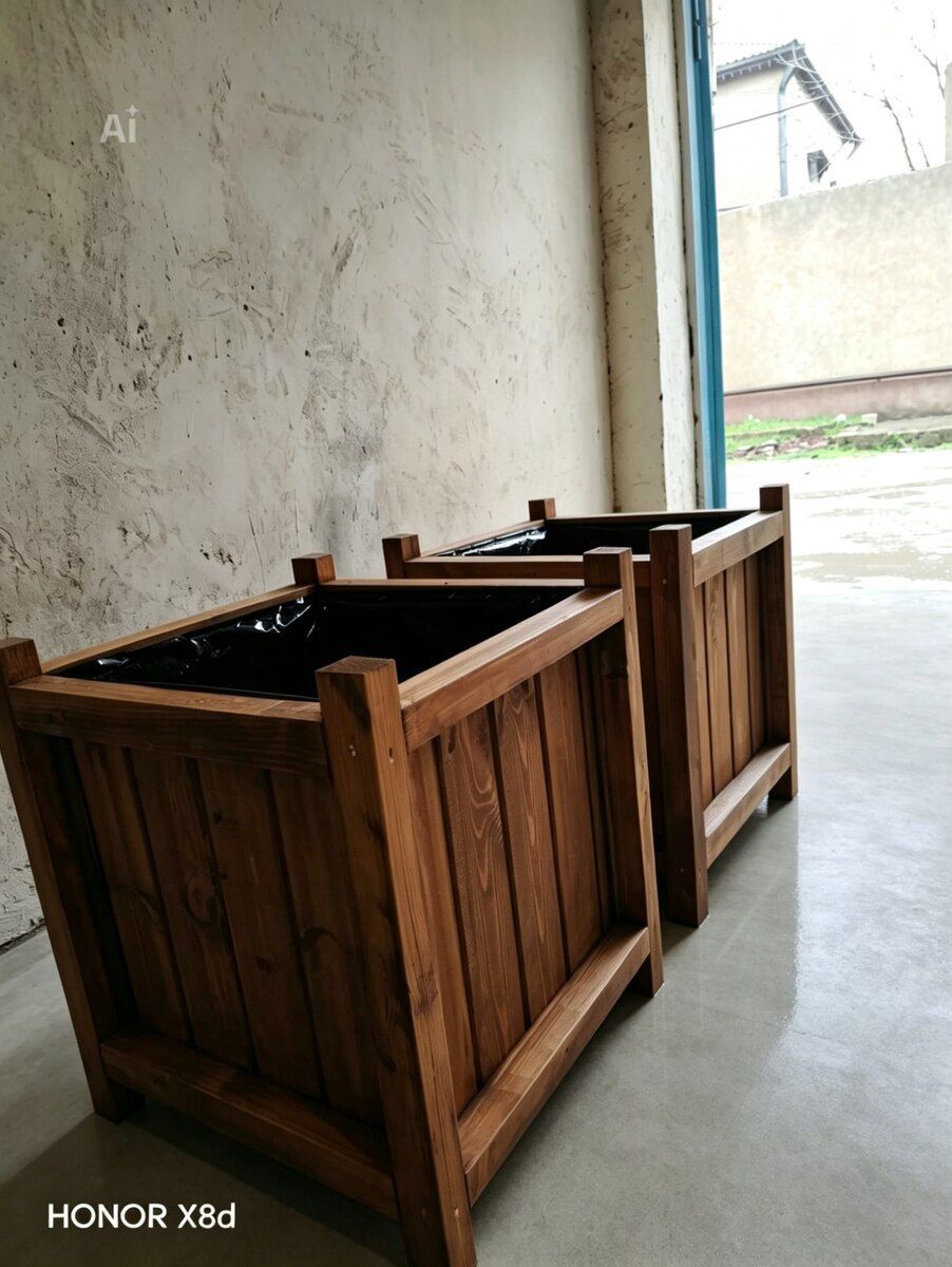 Dibçəklər — Bitkilər, Bakı (4)