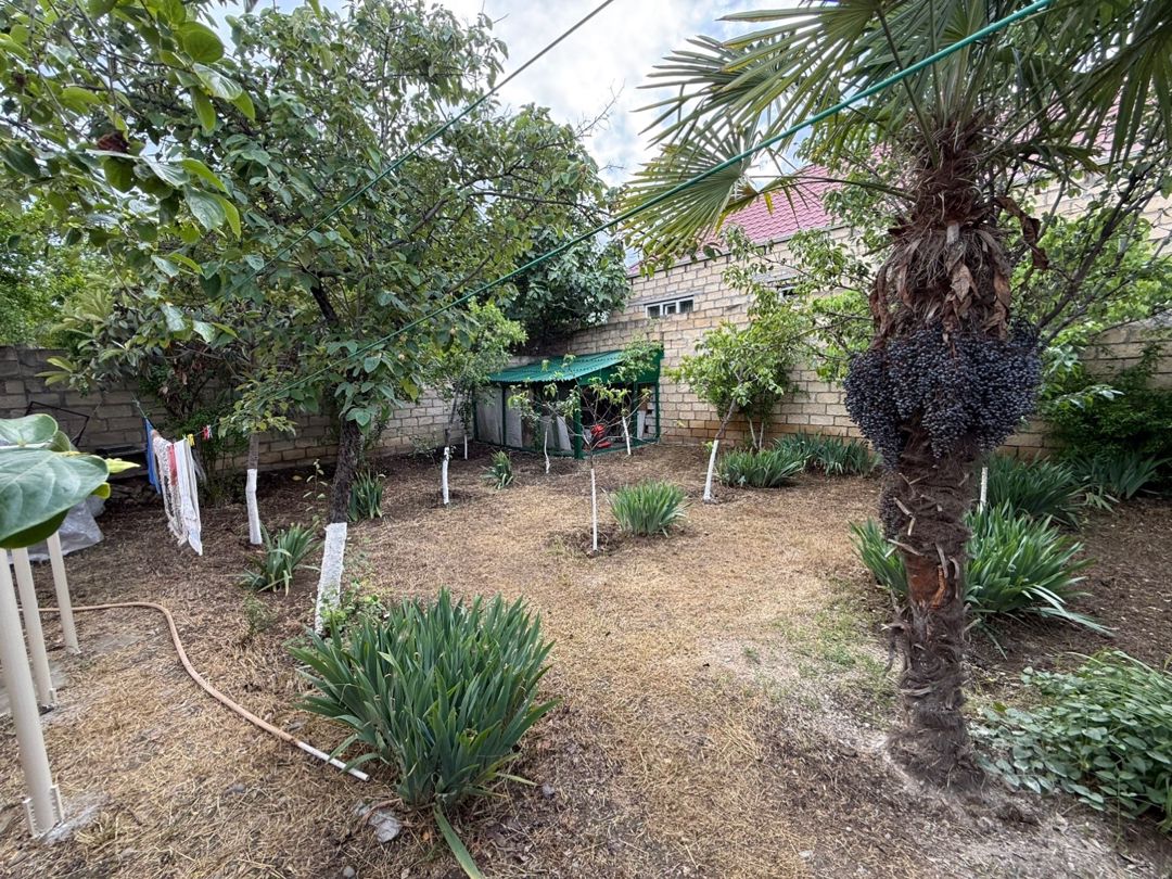 Həyət evi, Gəncə ş — Ev, villa, Gəncə (5)