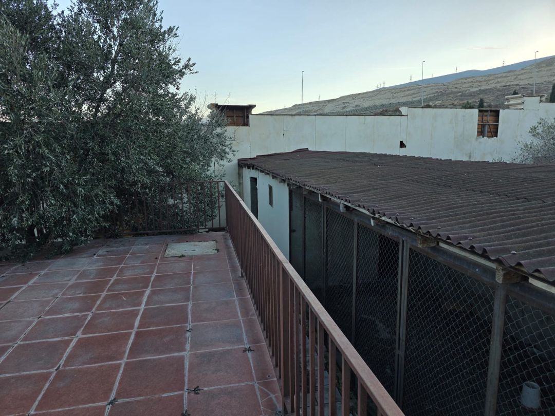6 sot torpaq sahəsi, Binəqədi r — Torpaq, Bakı (7)