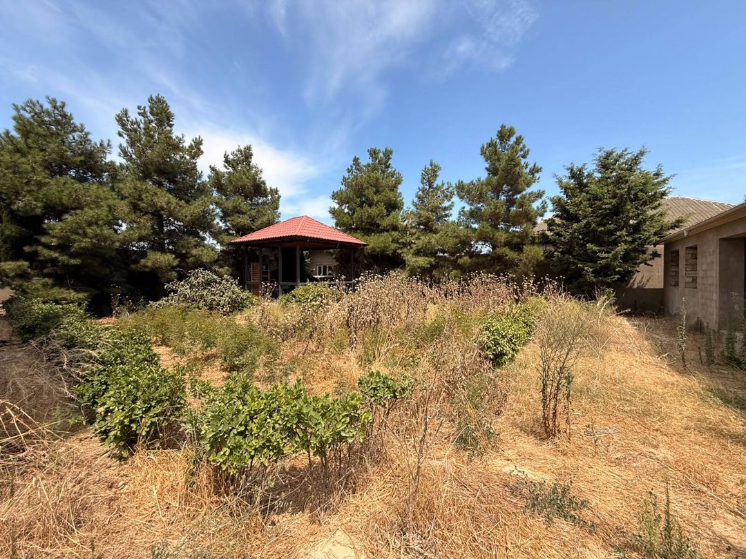 Satılır torpaq 12 sot — Torpaq, Bakı (5)