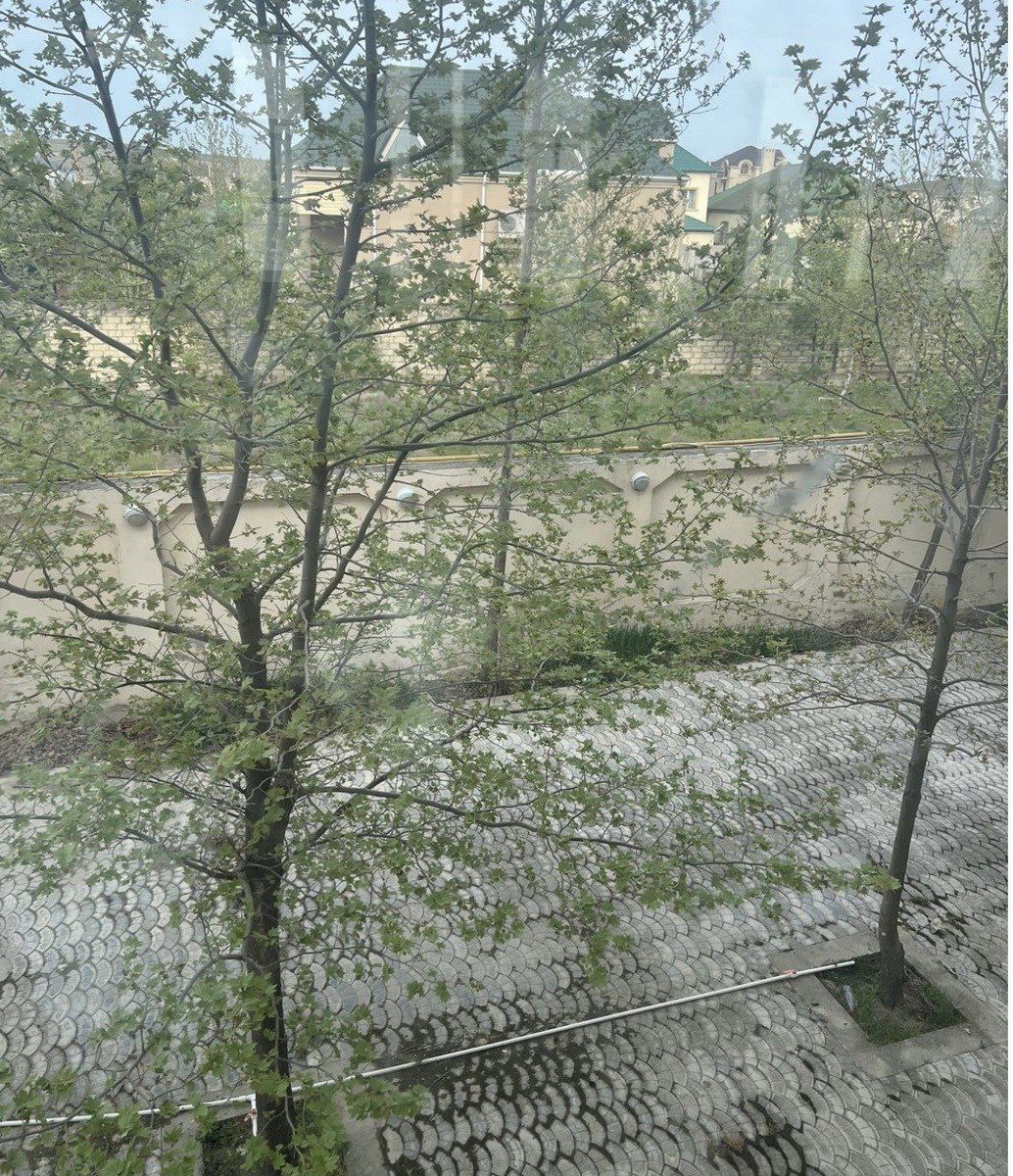 Satılır obyekt 2200 m² — Əmlak, Bakı (3)