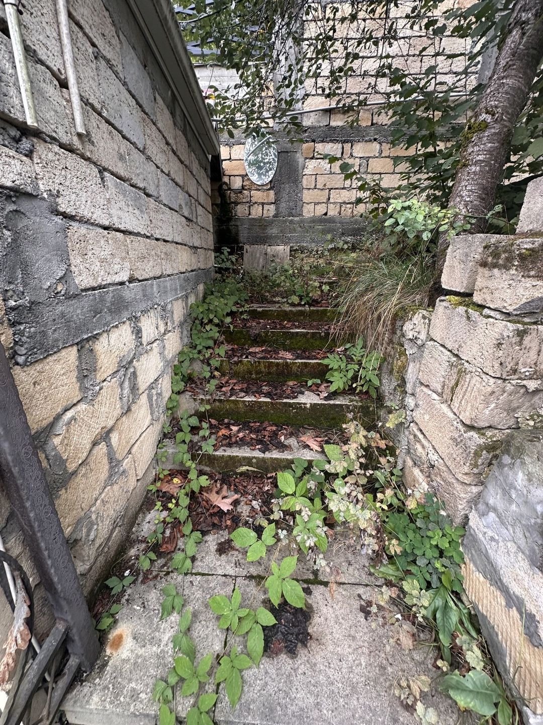 Satılır 4 otaqlı həyət evi/bağ evi 600 m² — Ev, villa, Quba (6)