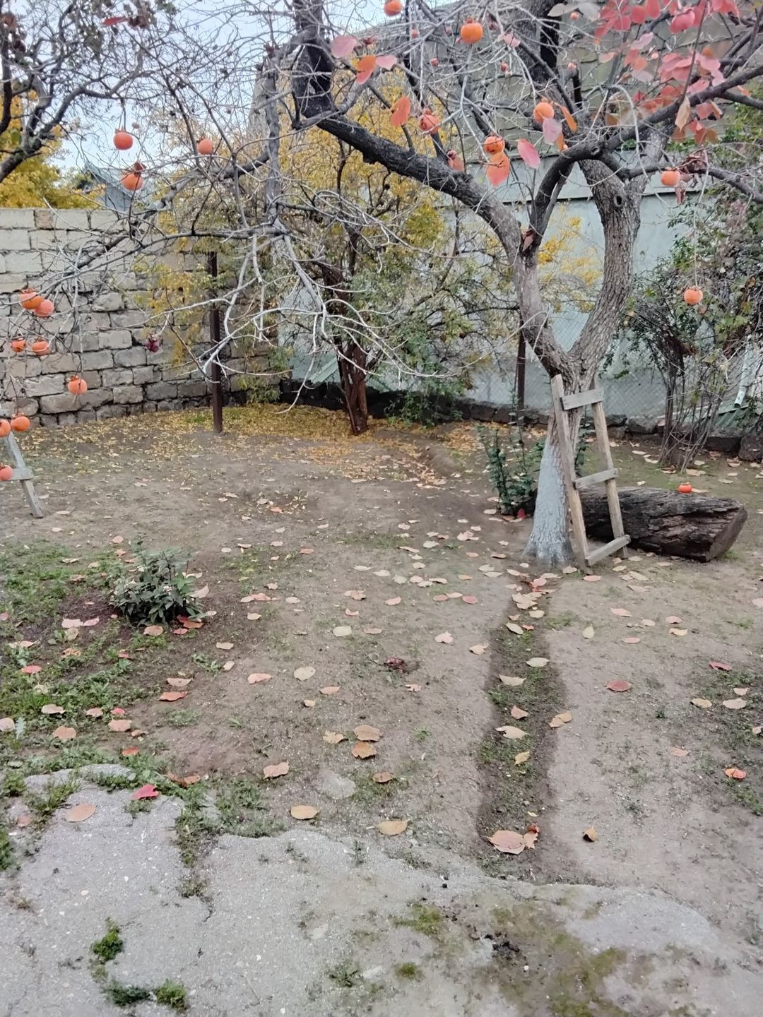 Satılır 4 otaqlı həyət evi/bağ evi 70 m² — Ev, villa, Bakı (10)
