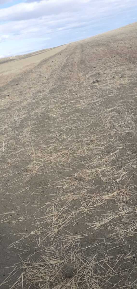 Satılır torpaq 7378 sot — Torpaq, Şamaxı (3)