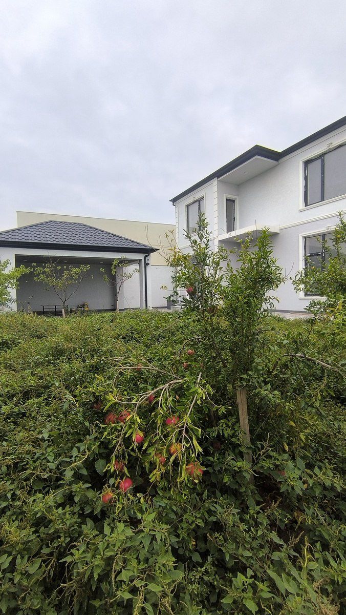 Satılır 6 otaqlı həyət evi/bağ evi 250 m² — Ev, villa, Bakı (7)