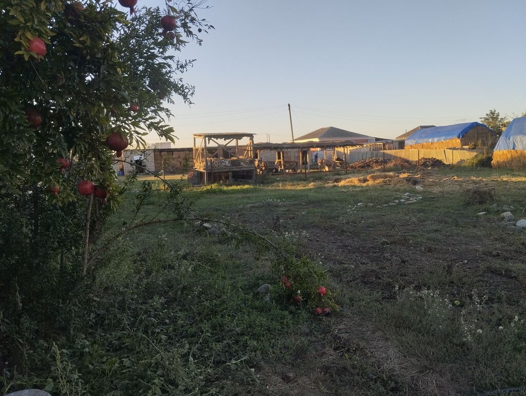 Xaçmaz, 663 kv. m, 4 otaqlı, Qaz, İşıq, Su — Ev, villa, Xaçmaz (2)