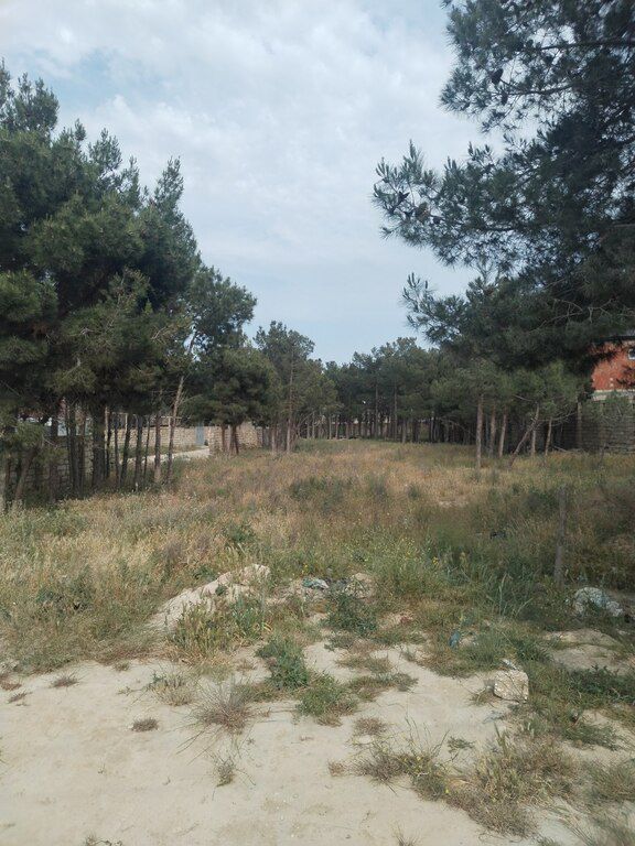 16 sot torpaq sahəsi, Ramana qəs — Torpaq, Bakı