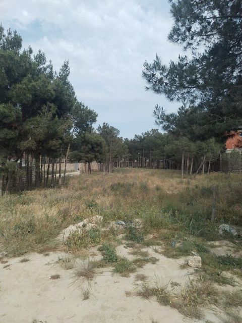 16 sot torpaq sahəsi, Ramana qəs — Bakı