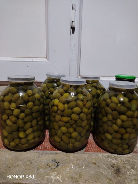 Yaşıl zeytun — 10 ₼ · Bakı · Ərzaq məhsulları Yaşıl zeytun — Bakı