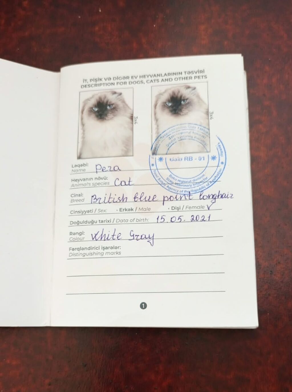 Ev pişiyi. italiyan sirtudu. 5 yaşı -pasportu var — Şəxsi əşyalar, Digah (5)