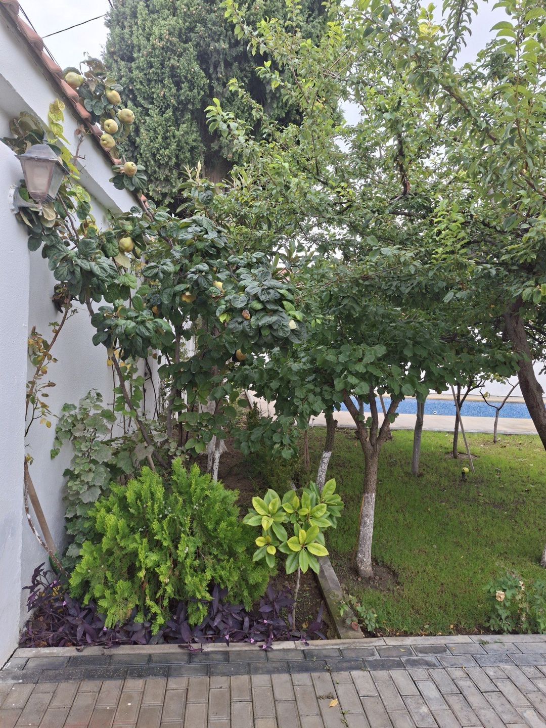 Satılır 5 otaqlı həyət evi/bağ evi 500 m² — Ev, villa, Bakı (7)