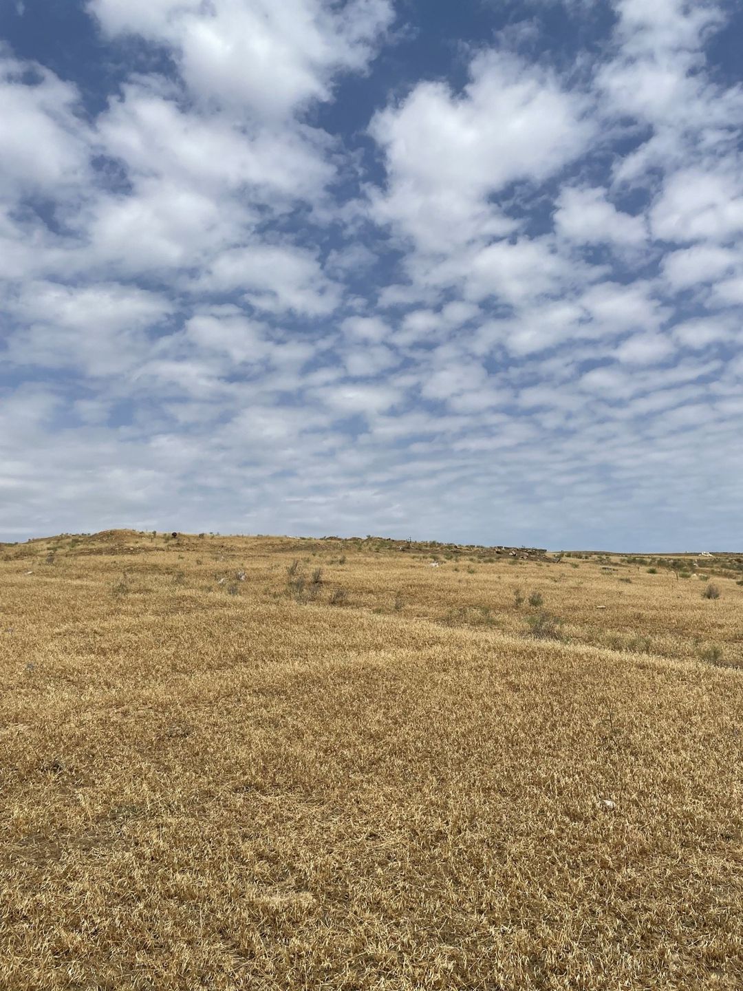 Satılır torpaq 6 sot — Torpaq, Bakı (2)