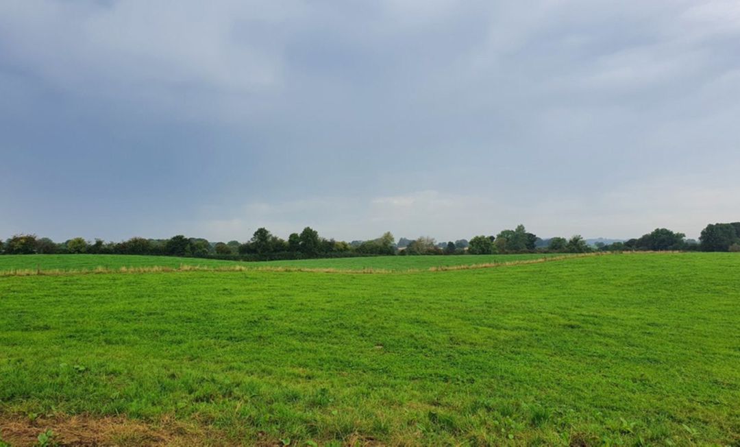 Satılır torpaq 7378 sot — Torpaq, Şamaxı (4)