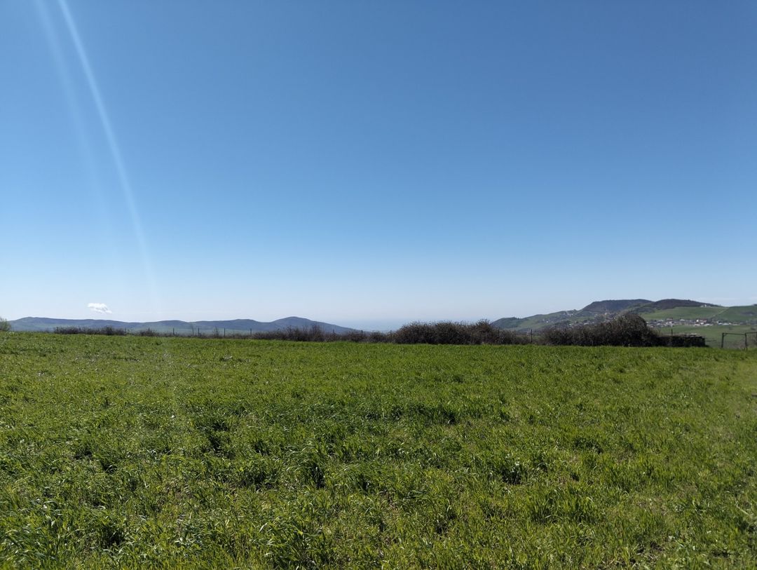 90 sot torpaq sahəsi, Şamaxı r — Torpaq, Şamaxı (3)