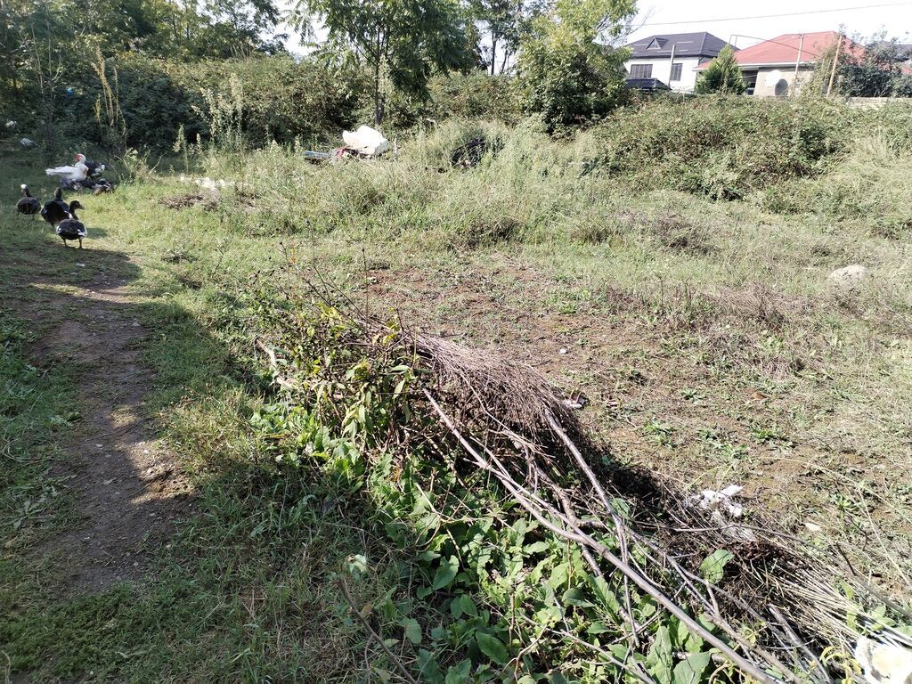 37 kv. m, 3 otaqlı, Qaz, İşıq, Su — Ev, villa, Lənkəran (4)
