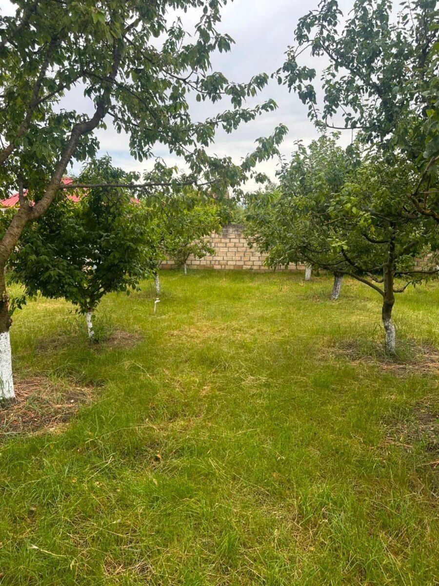 Bağ evi, Qusar r — Ev, villa, Qusar (5)