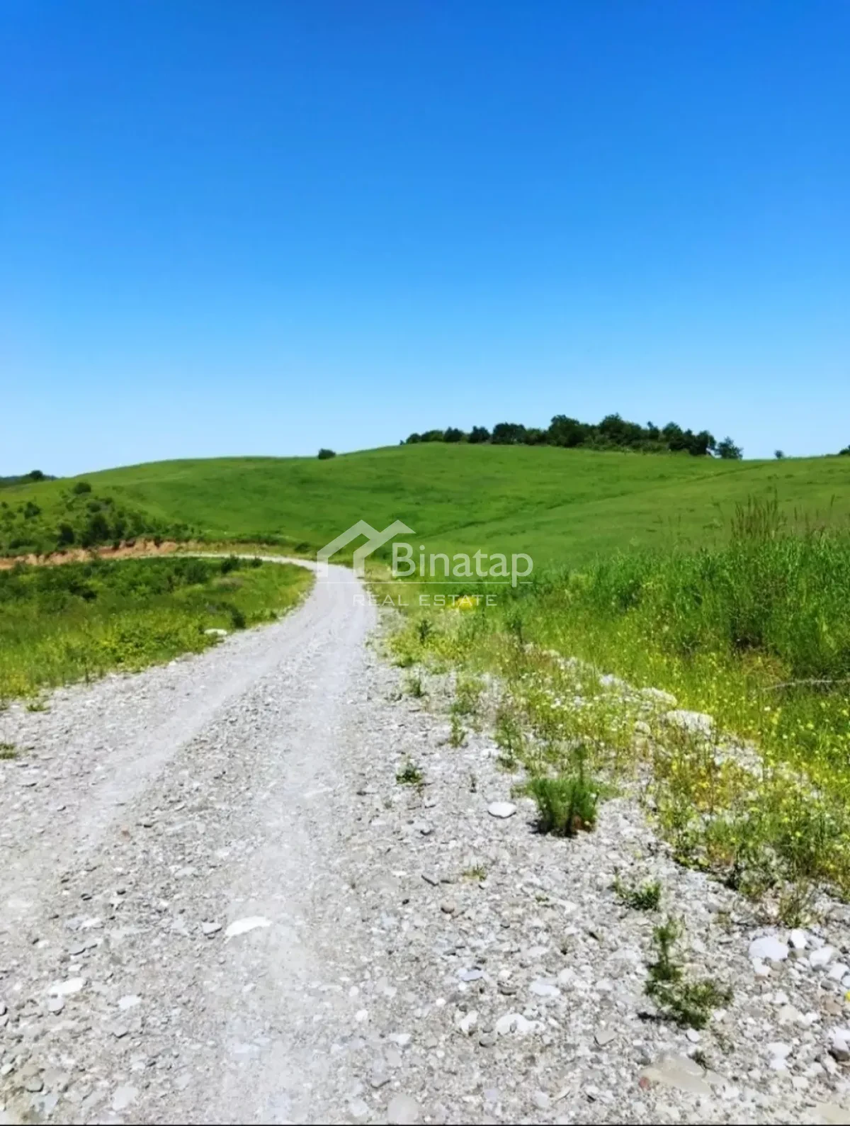 Satılır torpaq 524 sot, Quba rayonu — Torpaq, Bakı (3)