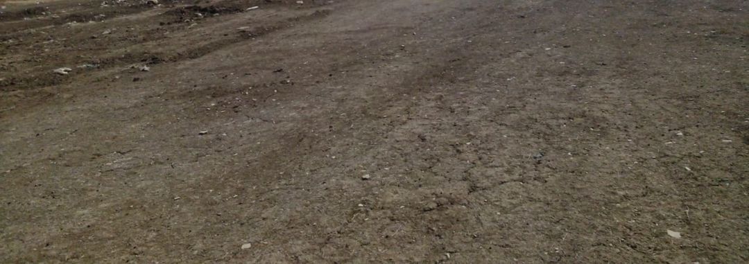 Satılır torpaq 4 sot — Torpaq, Bakı (4)