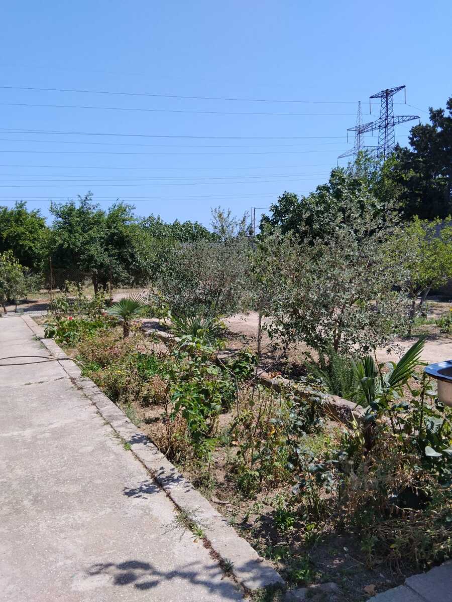 Satılır 4 otaqlı həyət evi/bağ evi 110 m² — Ev, villa, Bakı (3)