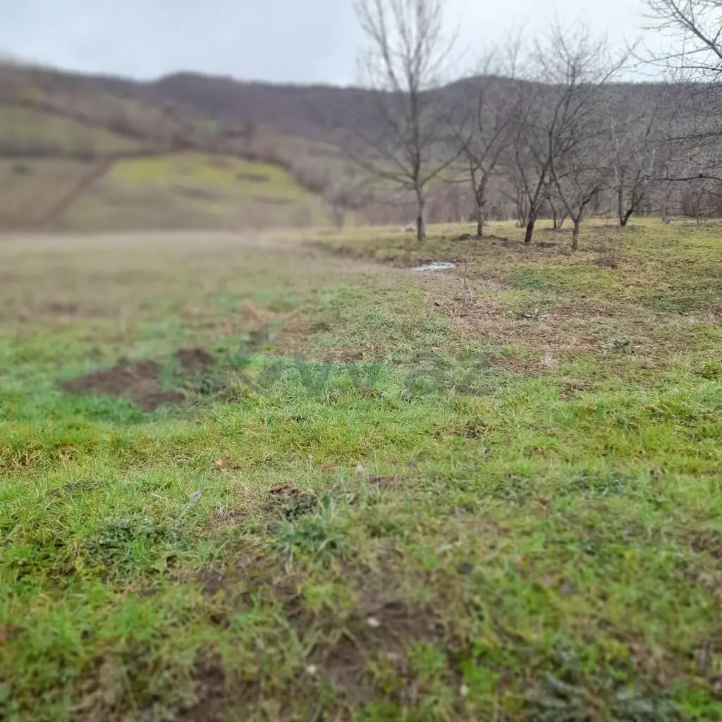 80 sot Torpaq Satılır, Quba — Torpaq, Quba (8)