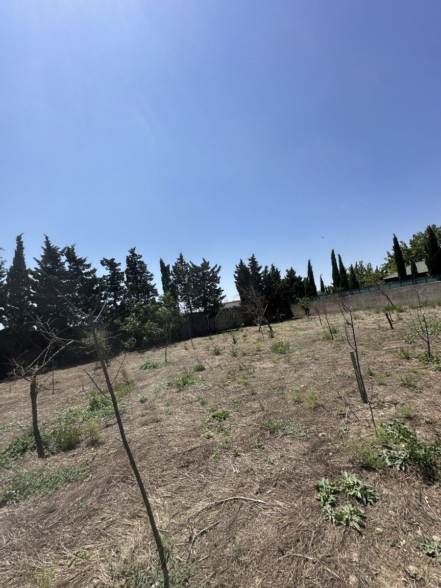 30 sot torpaq sahəsi, Novxanı qəs — Torpaq, Bakı (11)