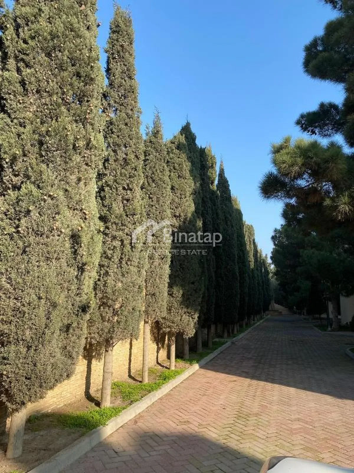 Satılır 10 otaqlı həyət evi / bağ evi 500 m², Şıxov qəsəbəsi, Səbail rayonu — Ev, villa, Bakı (4)