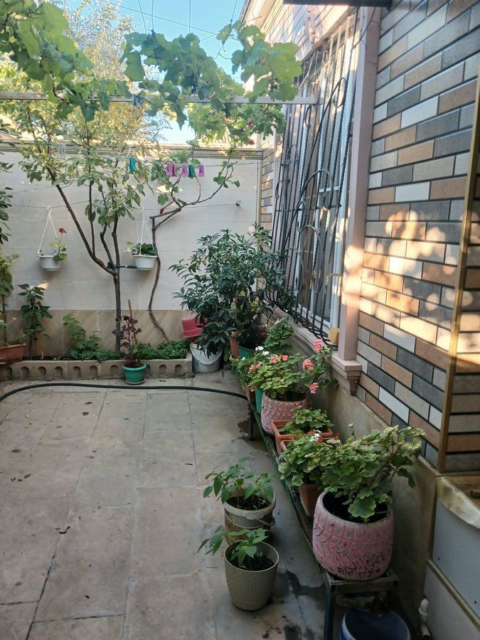 Bağ evi, 80 m², Polad Həşimov küçəsi., Bakı — Daşınmaz əmlak, Bakı (6)
