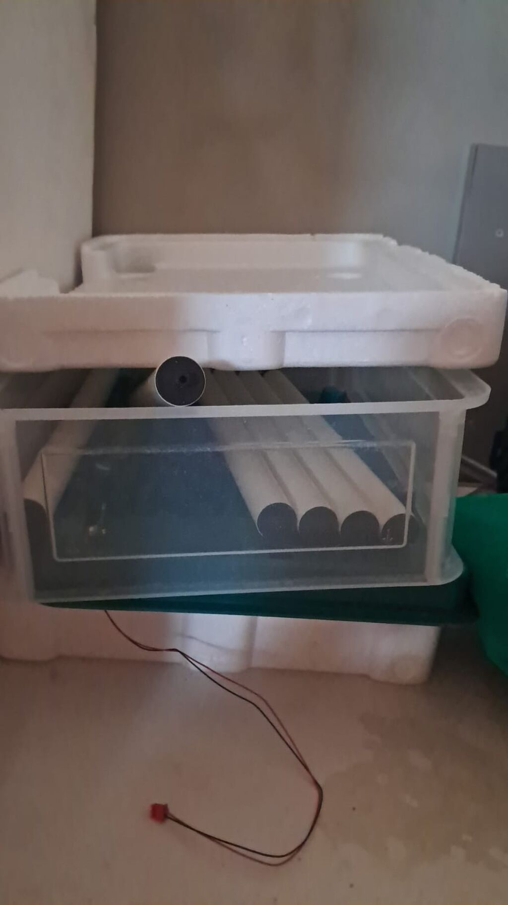 Inkubator cücə hinduşka çxardmışam əla vezuetde yumurtani qoy cücəvi — Akvariumlar və balıqlar, Bakı
