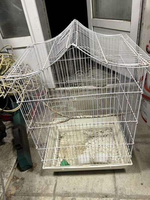 Ağ rəngli metaldan quş qəfəsi - Material: davamlı metal barmaqlıq, ağ — Bakı