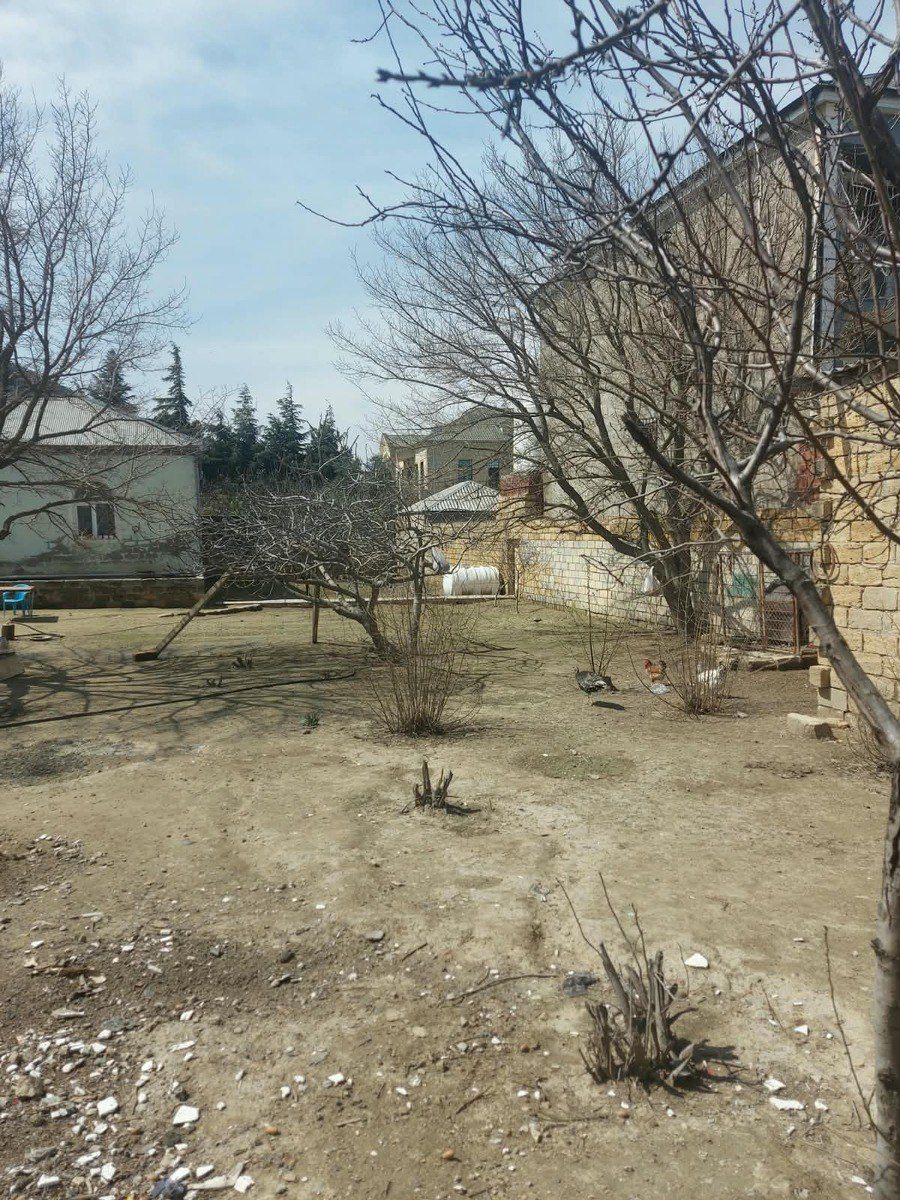 Satılır torpaq 11 sot — Torpaq, Bakı (5)