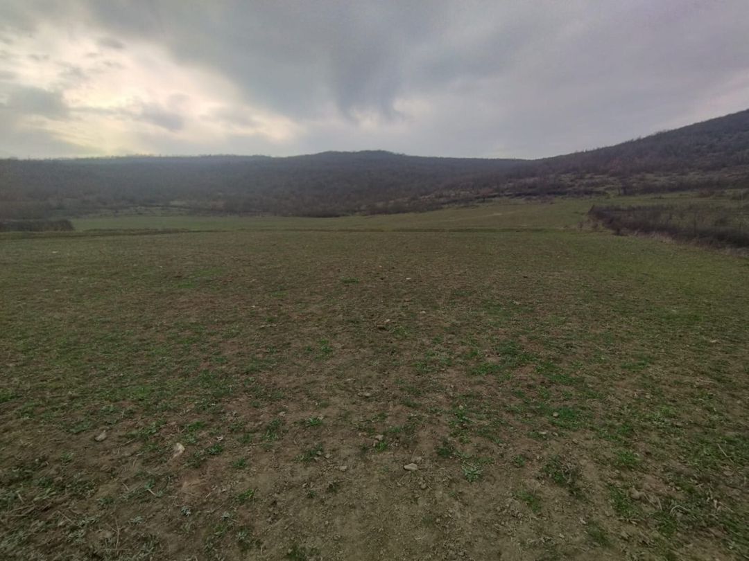 25 sot torpaq sahəsi, Quba r — Torpaq, Quba (2)