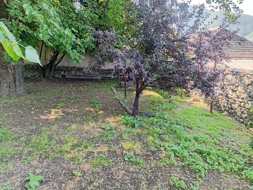 Həyət evi, Şəki ş — Ev, villa, Şəki (7)