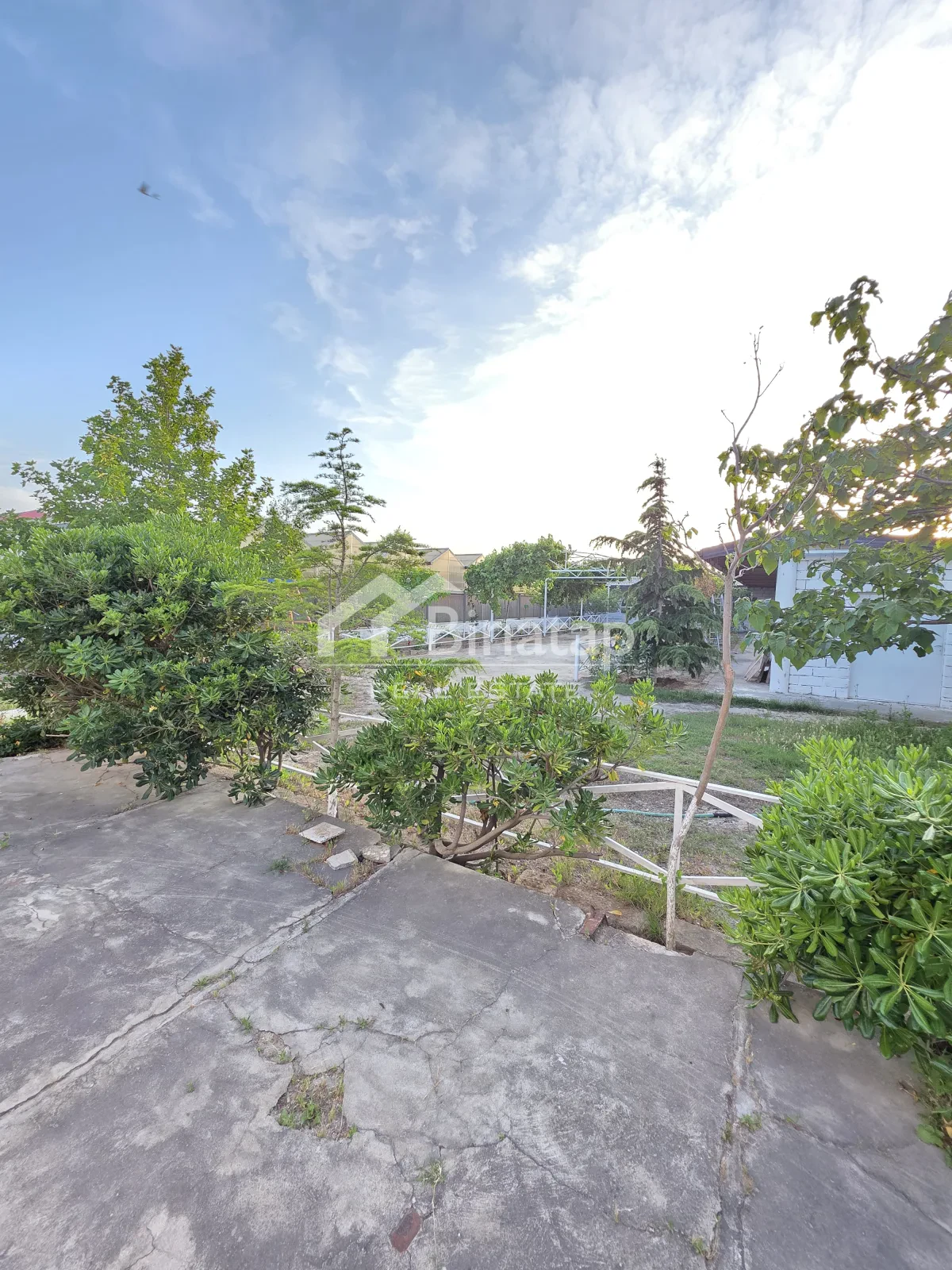 Satılır obyekt 3000 m², Türkan qəsəbəsi, Xəzər rayonu — Əmlak, Bakı (5)