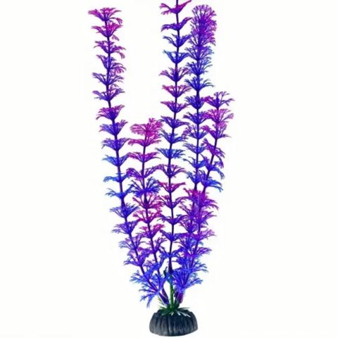 Süni bitkilər, Akvarium gülü 20 sm — Bakı