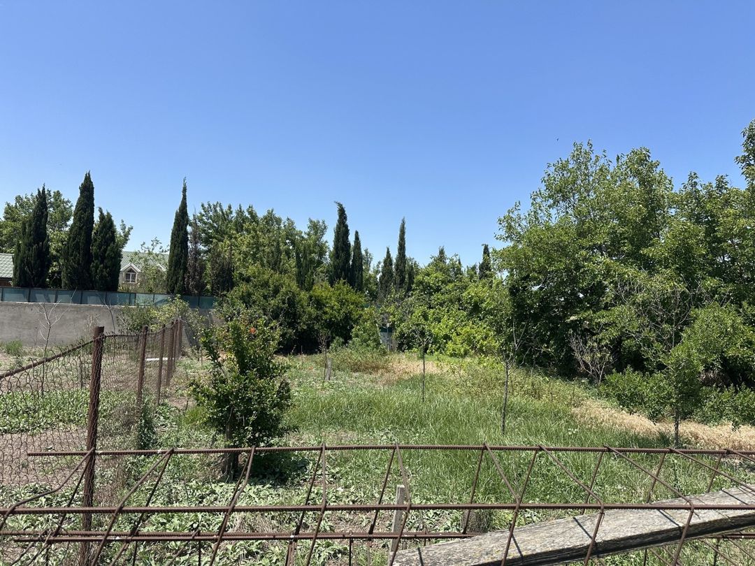 Satılır torpaq 30 sot — Torpaq, Bakı (9)