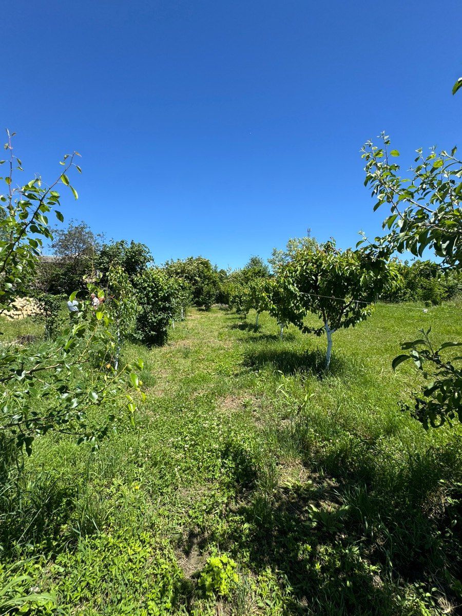 Həyət evi, Qusar r — Ev, villa, Qusar (4)