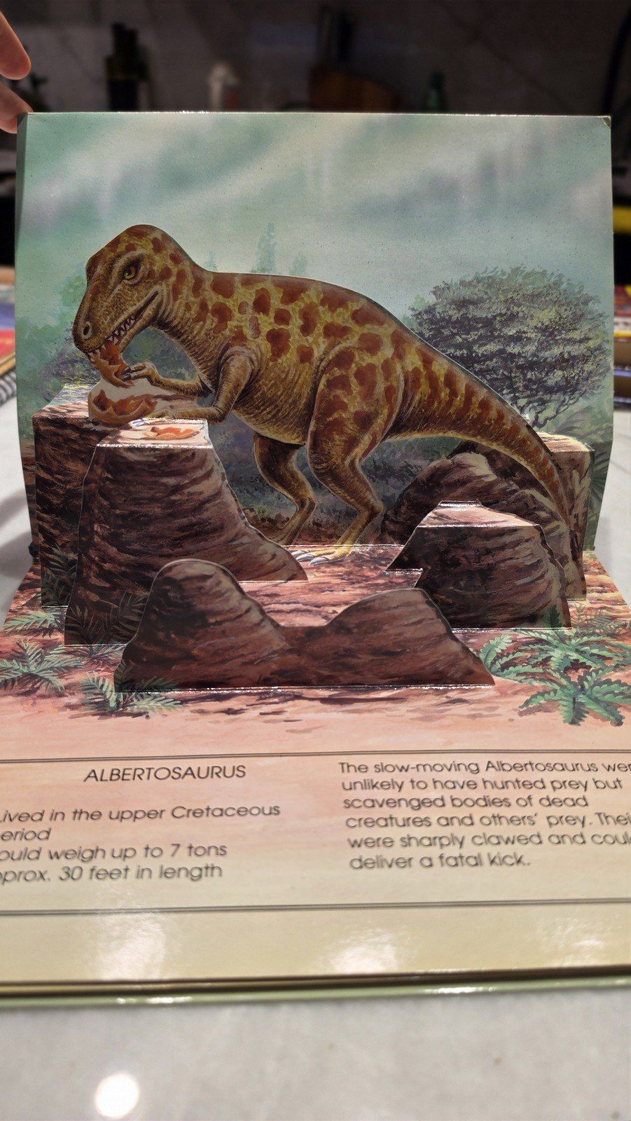Детская 3D-книга Dinosaurs Pop-Up Book — Kitablar və jurnallar, Bakı (3)