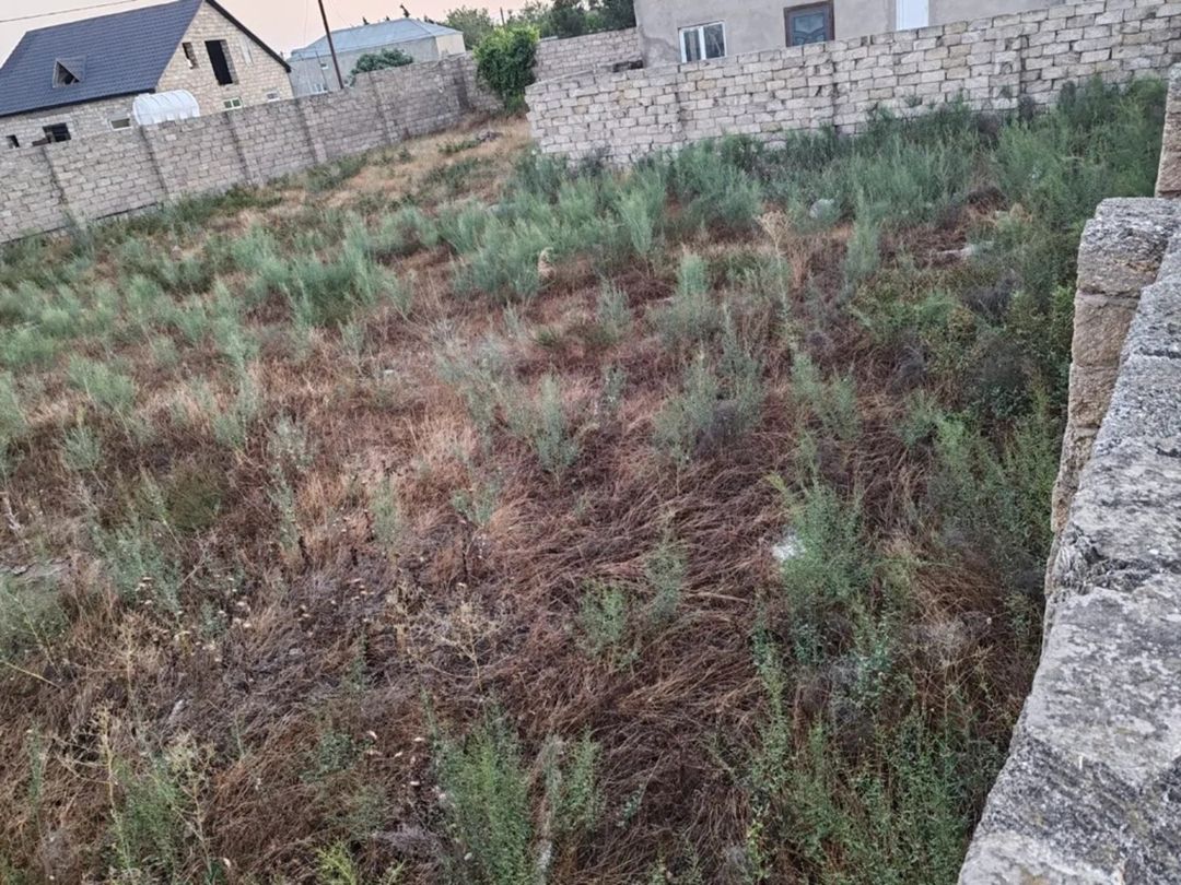 Satılır torpaq 6 sot — Torpaq, Bakı (3)