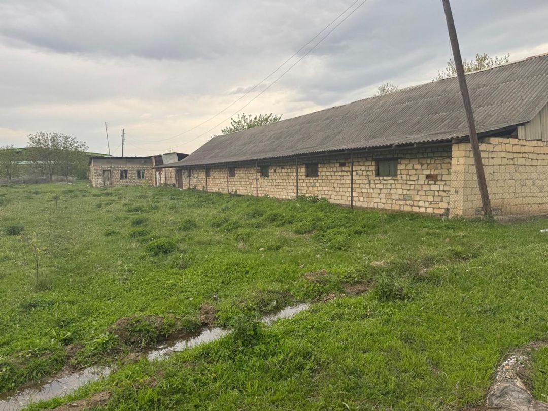50 sot torpaq sahəsi, Tovuz rayonu — Torpaq, Tovuz (8)