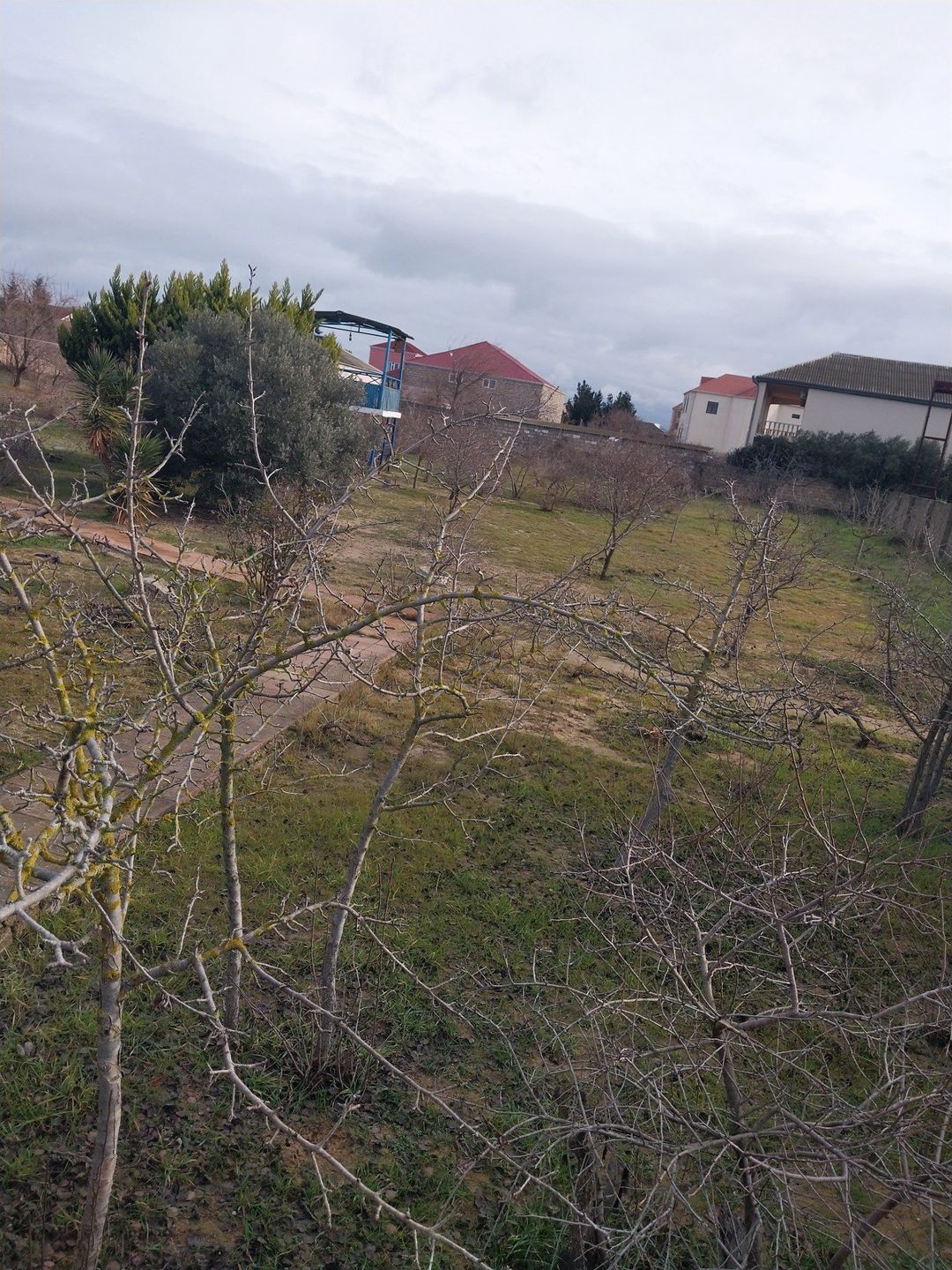 Satılır torpaq 12 sot — Torpaq, Bakı (3)